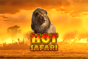 Hot Safari